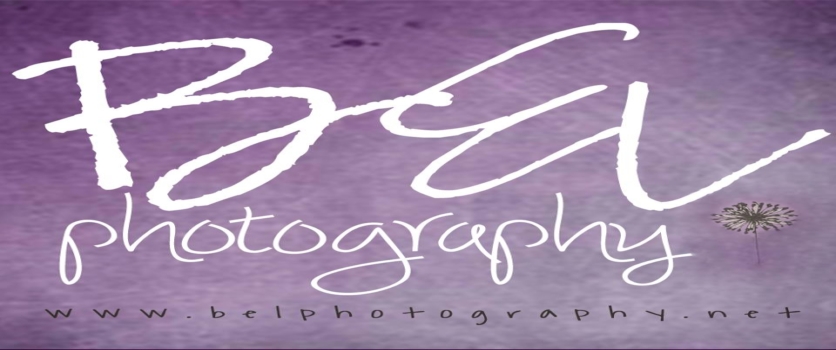 Selecting Your Perfect Photographer with BEL Photography